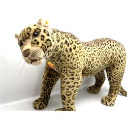 Steiff studio Leopard, with original tag and button to ear, in a standing position with plastic eyes and synthetic whiskers, H62cm, L120cm. 