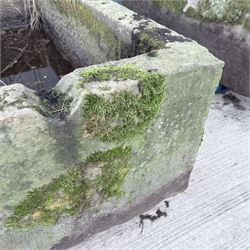 Large 18th century rectangular stone trough