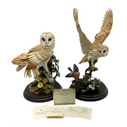 Country Artists ‘The Intruder’ by David Ivey limited edition model, along with ‘Barn Owl with Primroses’ model, with original boxes