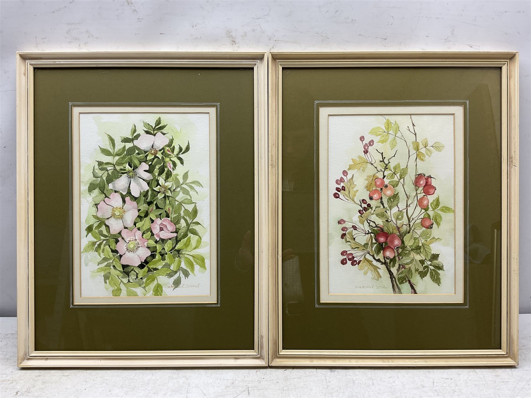 Victoria E Street (British 20th century): 'Sweet Briar' and 'Hips & Haws', pair watercolours signed, titled and dated 1986 on artist's studio labels verso 25cm x 18cm (2)