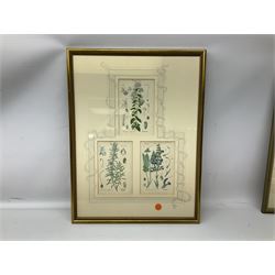 English School (19th/20th century): Wild Flowers Triptych, watercolours indistinctly inscribed together with triptych antique print of flowers and pair antique prints of camellia max 46cm x 37cm (4)