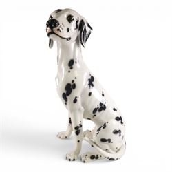Life-sized model of a seated Dalmatian, H80cm