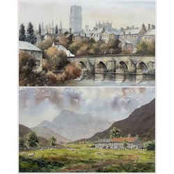 John Urwin (British 1939-): 'Durham from the Elvet', watercolour signed, dated '92 and titled verso 34cm x 49cm, together with Alan Paynes (Yorkshire Contemporary): 'Lakeland Farm - Near Ennerdale',  watercolour signed, titled verso 35cm x 47cm (2) 