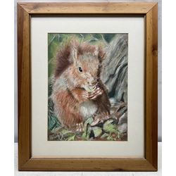 Mike Gunnell (British 20th Century): 'Hall Garth Park - Hornsea', pastel signed, titled verso 26cm x 37cm; English School (Contemporary): A Squirrel's Feast, pastel indistinctly signed 34cm x 25cm (2)