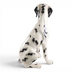 Life-sized model of a seated Dalmatian, H80cm