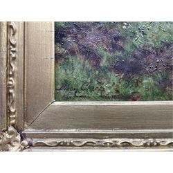 Joseph Dixon Clark (British 1849-1944): Sheep in a Meadow, oil on canvas signed 30cm x 40cm