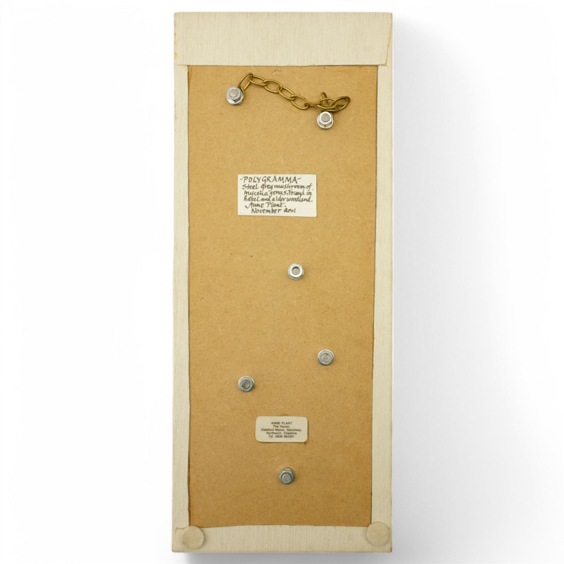 Anne Plant (British 1934-2019): 'Gerronema' 'Polygramma' and 'Icterinus', set three stoneware wall-hanging sculptures, largest 41cm x 17cm (3)