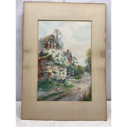 Charles Henry Clifford Baldwyn (British 1859-1943): 'Heralds of Spring', watercolour signed and dated 1912, titled verso 45cm x 30cm (mounted) 
Notes: Baldwyn was a Worcester artist, starting work at the Royal Worcester porcelain factory at the age of 15. He was most famous for his beautiful paintings of swans in flight.