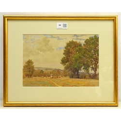  John Dobby Walker (British 1863-1925): 'Cows in Pasture at Caton', watercolour signed 19cm x 28cm  