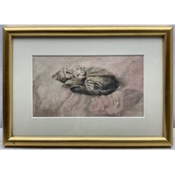 Attrib. Gwen John (British 1876-1939): Tabby Cat Sleeping, watercolour unsigned 11.5cm x 21cm
