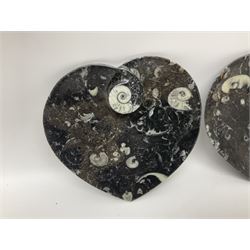 Pair of dishes in the form of hearts with a raised Goniatite to the centre and Orthoceras and Goniatite inclusions, age: Devonian period, location: Morocco, D16cm