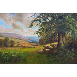 Arthur Stanley Wilkinson (British 1860-1930): 'Devonshire Pastures by the Sea near Clovelly', oil on canvas signed, original title label verso 40cm x 60cm