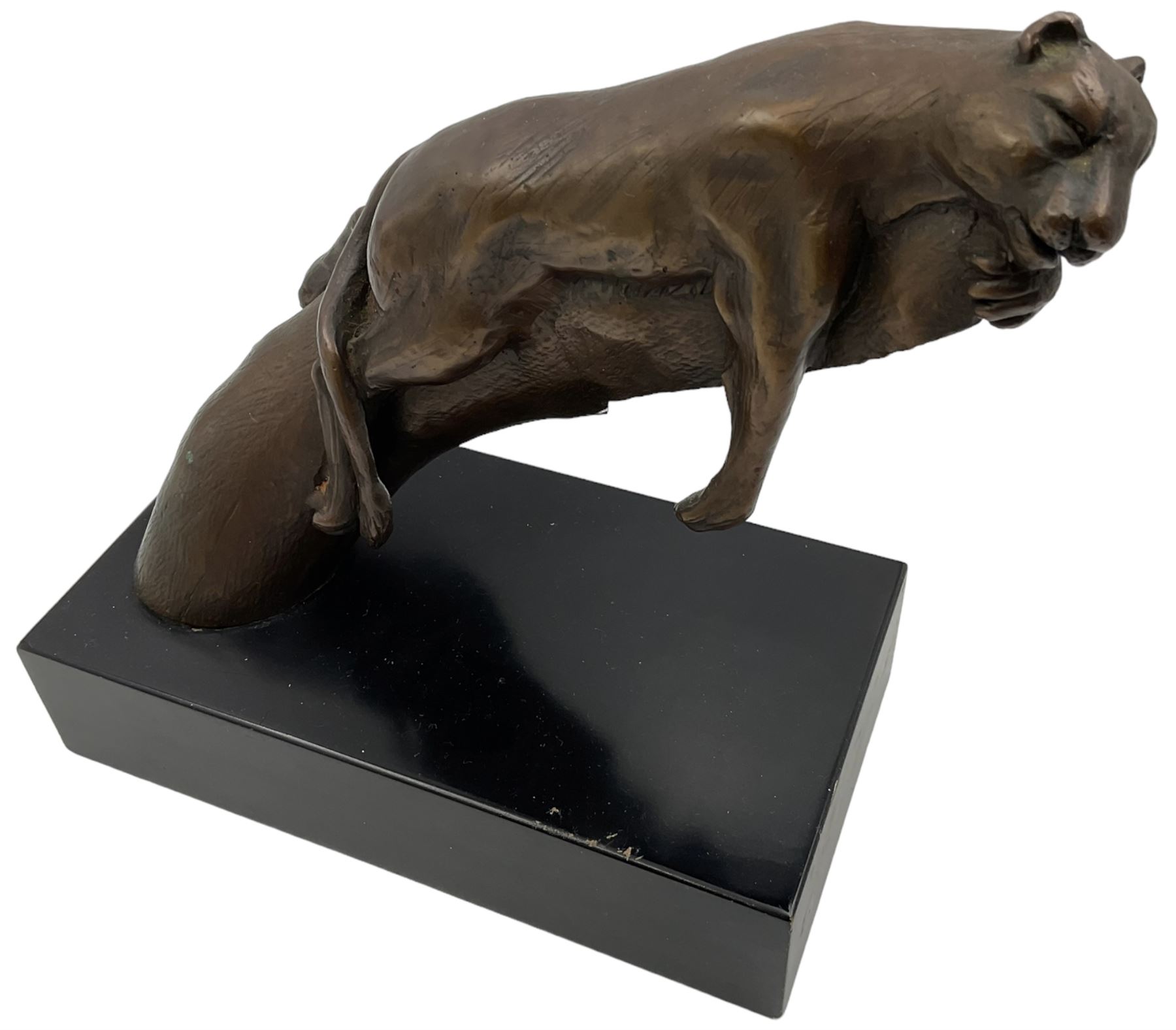 Bronze modelled as a cougar on a branch upon a rectangular wooden plinth, H24cm