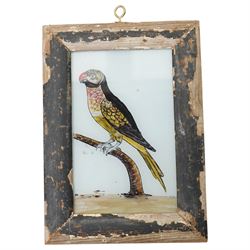 Indian tray from the contents of Worksop manor, reverse glass painting of a parrot, and plate