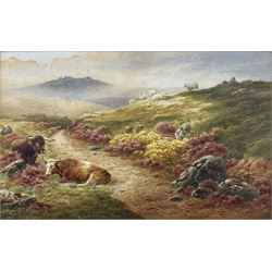 Charles Edward Brittan Jnr (British 1870-1949): Cattle and Sheep Resting in a Moorland Landscape, watercolour signed and dated 1896, 25cm x 40cm