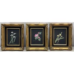 Delia Portsmouth (British 1916-): Flower Studies, set three oils on board signed and dated, 19cm x 14cm (3)