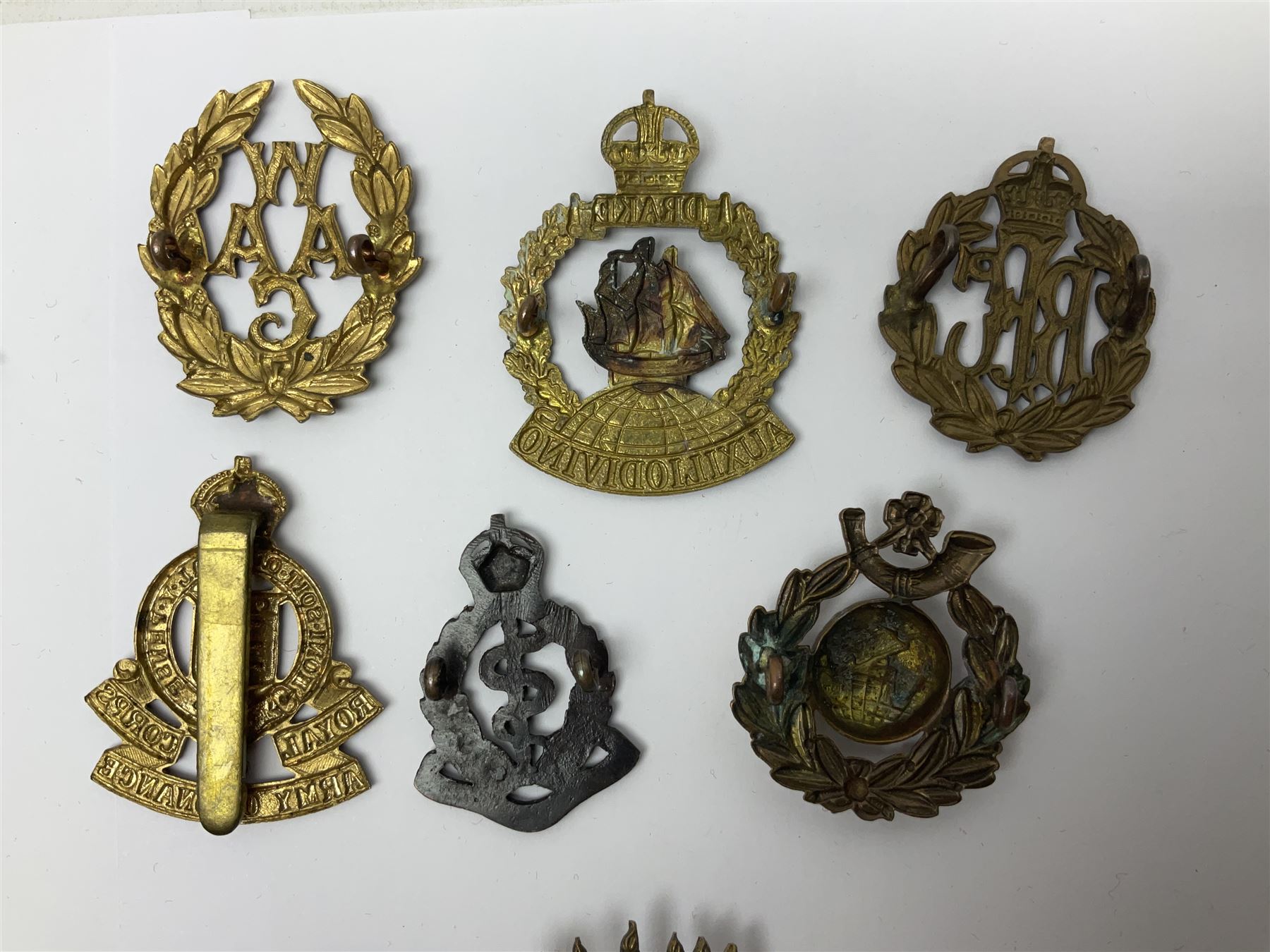 Seventeen cap badges including Expeditionary Forces Canteen, Machine Gun Corps, Tank Regiment, Jewish Battalions, Ordnance Corps, Medical Corps, Cyclist Corps, RFC & RAF, Veterinary Corps, Drake battalion etc (17)