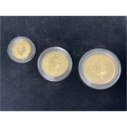 Queen Elizabeth II Gibraltar 2019 'The Concorde 50th Anniversary Gold Sovereign Prestige Set', comprising full, half and quarter sovereigns, cased with certificate, together with various items of Concorde memorabilia including cased binoculars, flight certificate for Heathrow to Moscow, 'Concorde Through The Lines' photographic tribute book etc