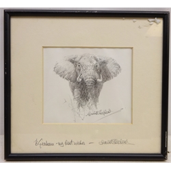  Approaching Elephant, monochrome lithograph signed and inscribed on the mount by David Shepherd 12cm x 14cm  