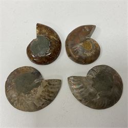Two pairs of sliced Ammonite Fossils with polished finish, D4cm
