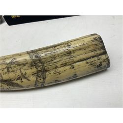 Horn handled magnifying glass and letter opener cased set, replica Scrimshaw in the form of a tusk titled The Ship Charles W Morgan New Bedford and pair of binoculars