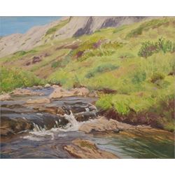 Circle of Samuel John 'Lamorna' Birch (British 1869-1955): A Mountain Stream, oil on board unsigned 24cm x 29cm