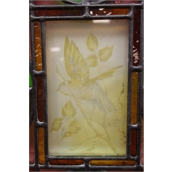  Ten Victorian stained glass panels each having a rectangular frosted glass plate engraved with etched bird design, comprising a Bittern, Chaffinch, Jay, Kingfisher, Linnets, Owl, Pelican, Sandpiper, Skylark & Vulture, 36cm x 44cm and 60cm x 38cm (10)  