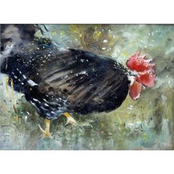 J Crawley (British 20th century): Study of a Black Hen, oil on board unsigned 28cm x 38cm
Provenance: from the Iris Collett artist's studio collection. Crawley was a fellow artist and friend of Iris Collett