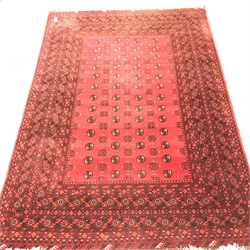 Bokhara red ground rug, repeating border, patterned field, 290cm x 202cm