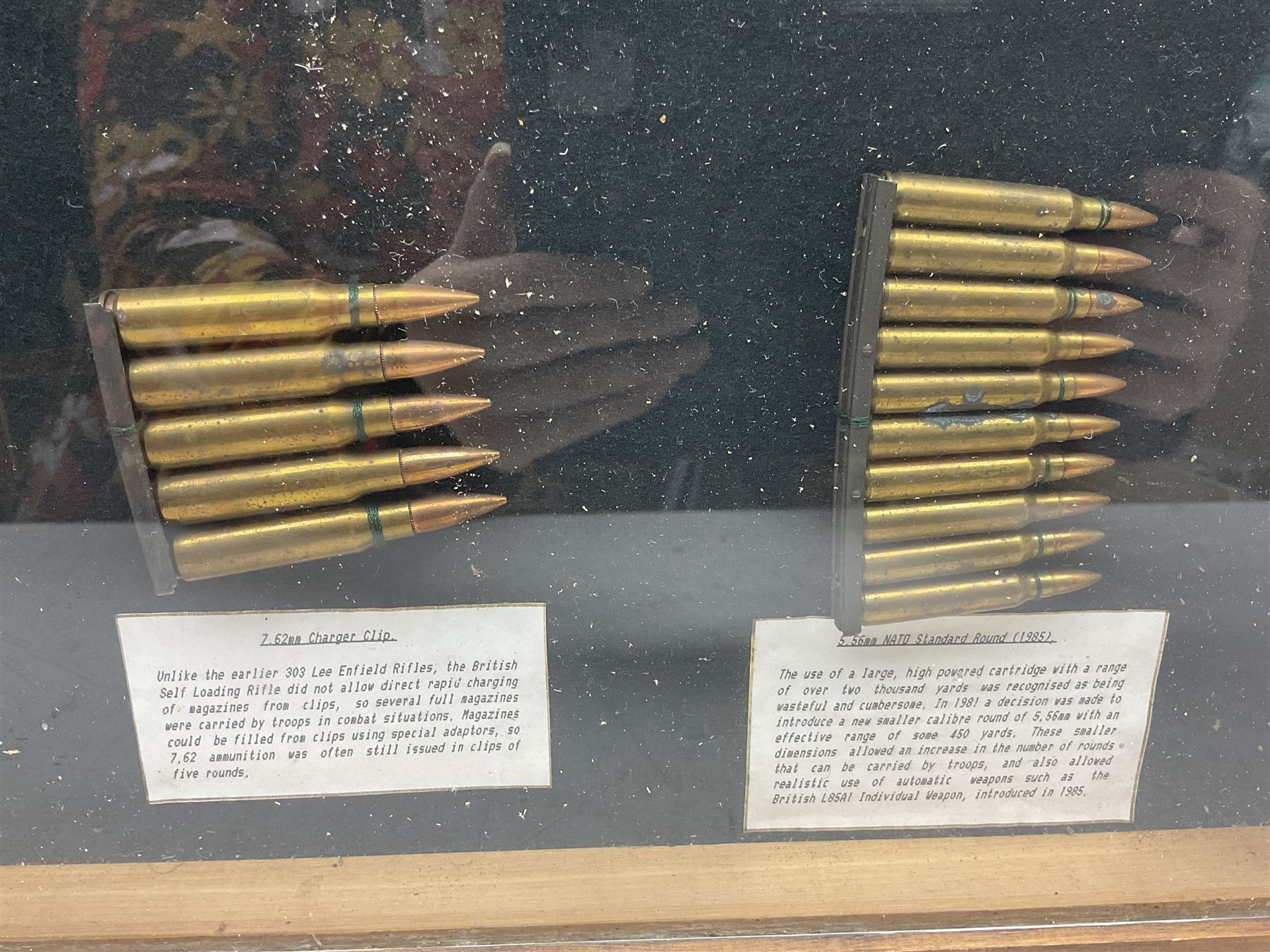 SECTION 1 FIRE-ARMS CERTIFICATE REQUIRED - Two cased specimen displays of annotated ammunition/cartridges - one entitled 'First World War Collection' containing twenty items including 7.63 Mauser, 7.65 Luger, .303, 7.62 x 54R Russian long, 455 Mk.II lead, 455 Auto etc; the other with sixteen items/clips including Musket cartridge, .577 Snider-Enfield, .577/45 Martini Henry, .303 Enfield Magazine, 7.62 Charger Clip, Specialised .303 rounds etc; largest case 41 x 76cm (2)