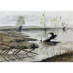 Margaret Parker (Northern British 1925-2012): Yorkshire Marshland, watercolour signed 37cm x 53cm