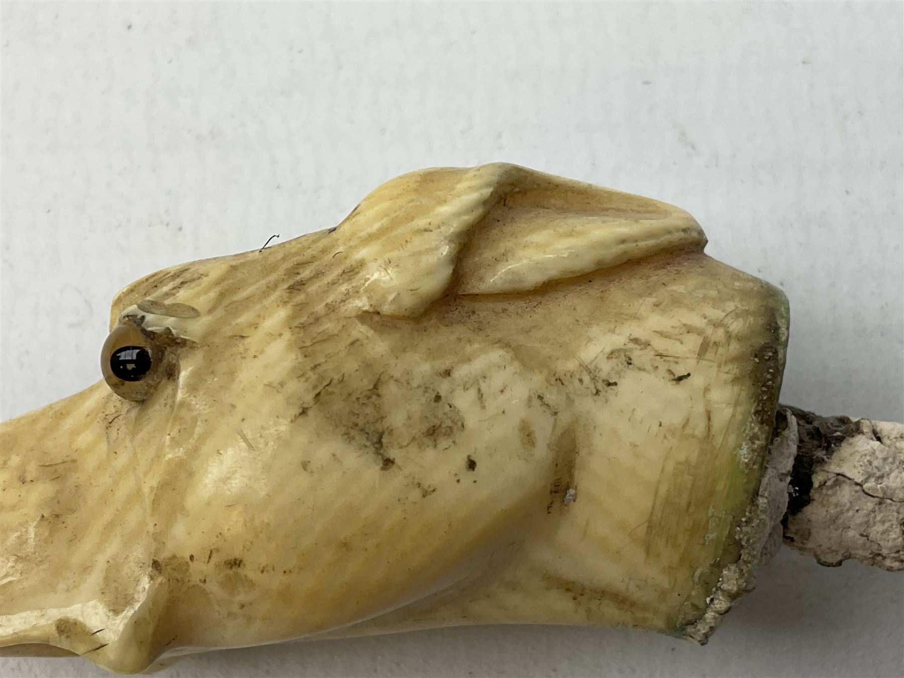 19th century carved ivory walking cane handle, modelled as the head of a greyhound with inset glass eyes, together with a further 19th century ivory example, modelled as a caricature of a gentleman's head, (2)