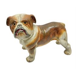 Painted cast iron Bull Dog, H16cm