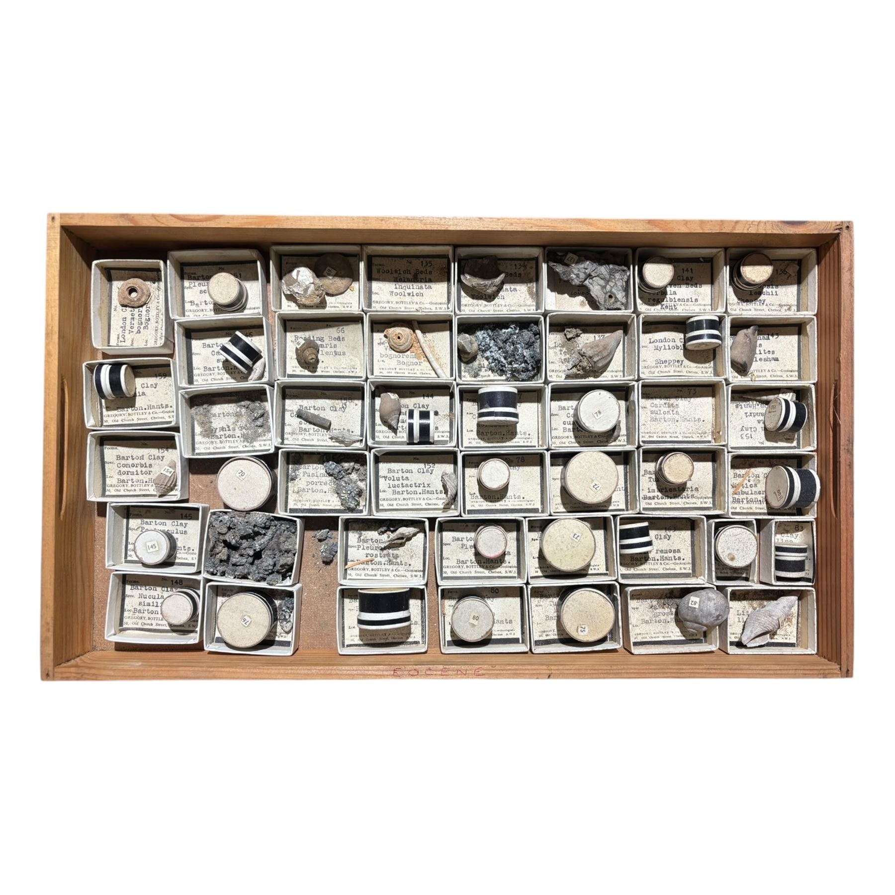 19th century box holding a collection of British Fossils, with makers label to the lid 'Collection of British Fossils to illustrate the textbooks and manuals of geology by Lyell, Page, Green & C, Arranged stratigraphically by James R. Gregory & Co mineralogisits .....', all samples numbered with and scribed name labels    
