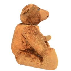 20th century teddy bear, red/brown mohair bear with black plastic eyes, straw filled snout with stitched nose and downturned mount, jointed limbs, swivel head and hump to back, H52cm