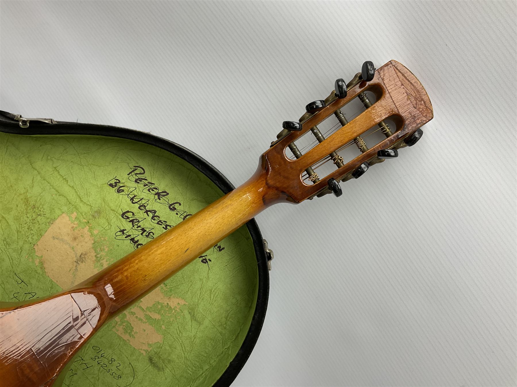 Rosetti Serenader eightstring mandolin with slightly bowed segmented