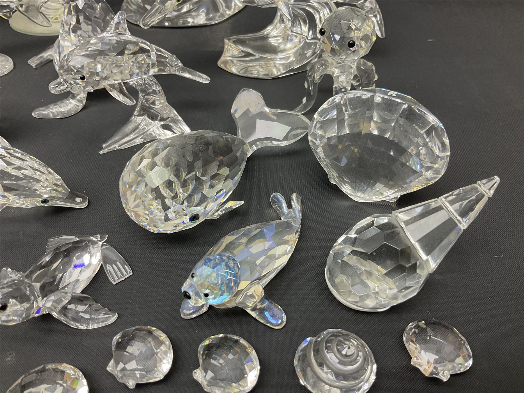 Nineteen Swarovski Crystal sea creatures, to include dolphins, seals, puffer fish, octopus, crabs, together with a quantity Swarovski Crystal shells 