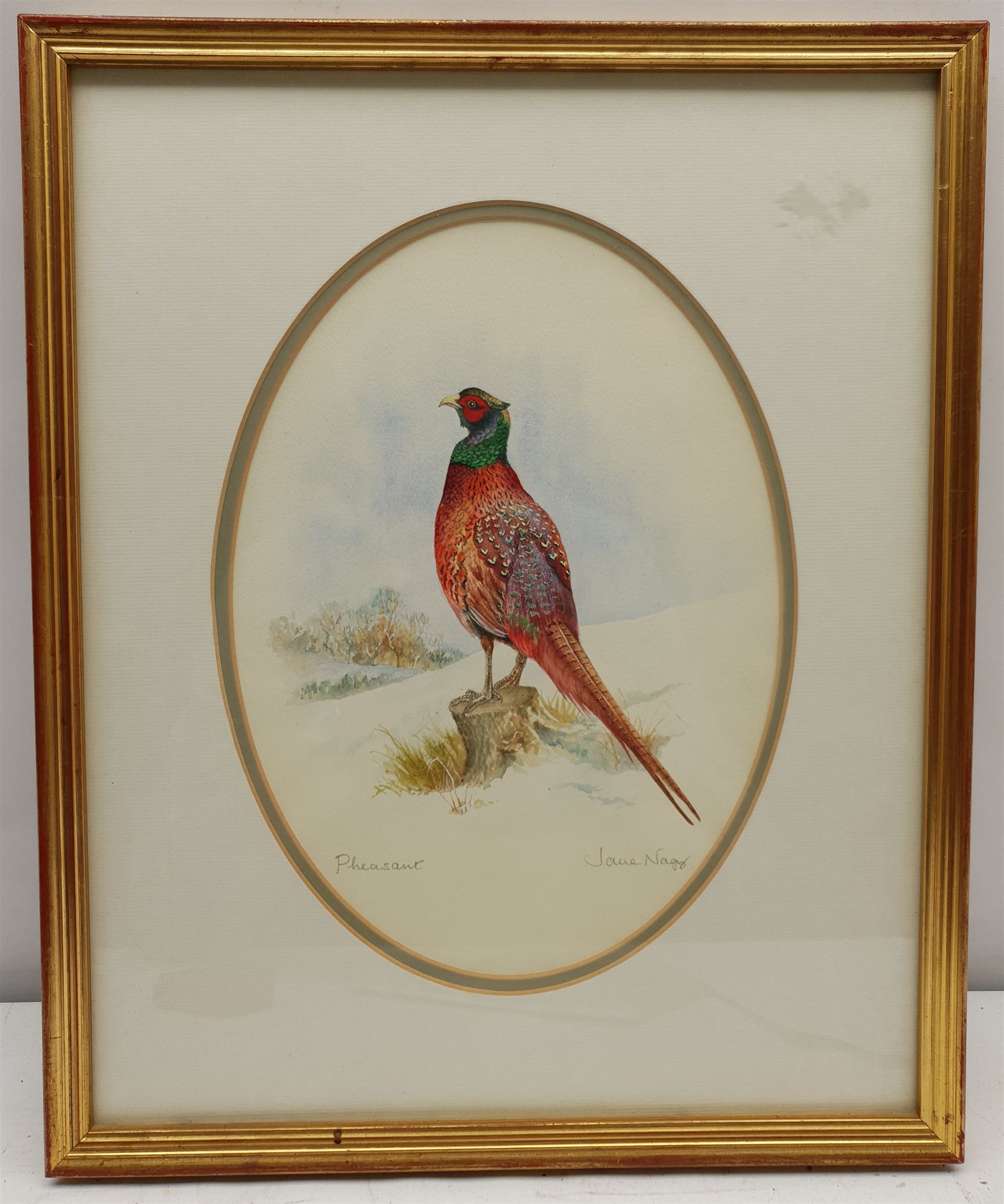 Jane Nagy (British 20th century): 'Pheasant', watercolour signed and titled 27cm x 20cm