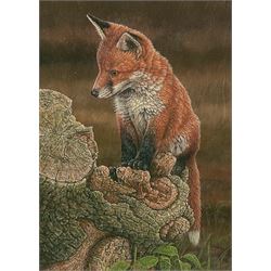 Robert E Fuller (British 1972-): Red Fox on Tree Stump, limited edition colour print signed and numbered 6/850 in pencil 30cm x 22cm
