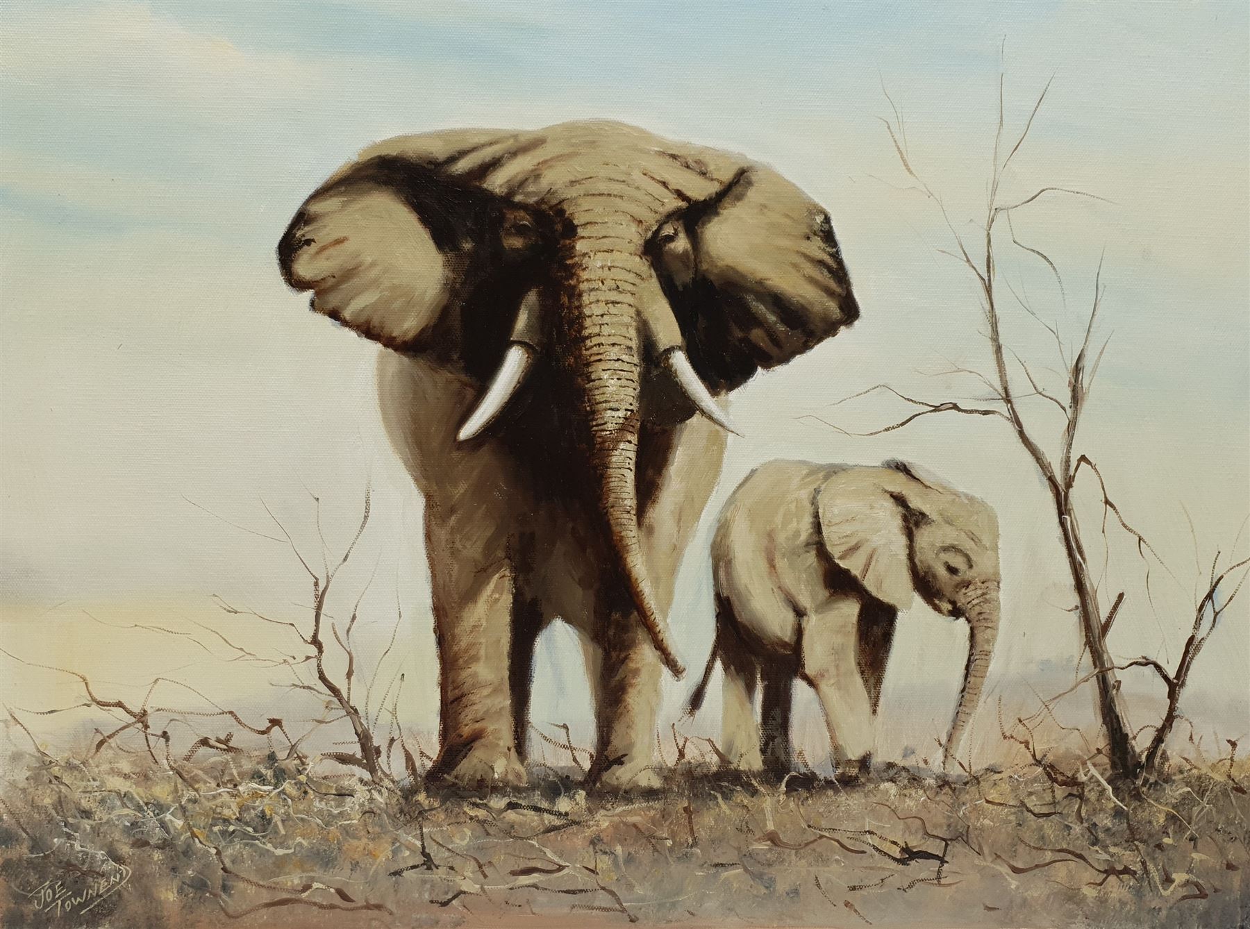 Joe Townend GRA (British 1946-): Elephants on the Savannah, oil on canvas signed 45cm x 60cm (unframed)