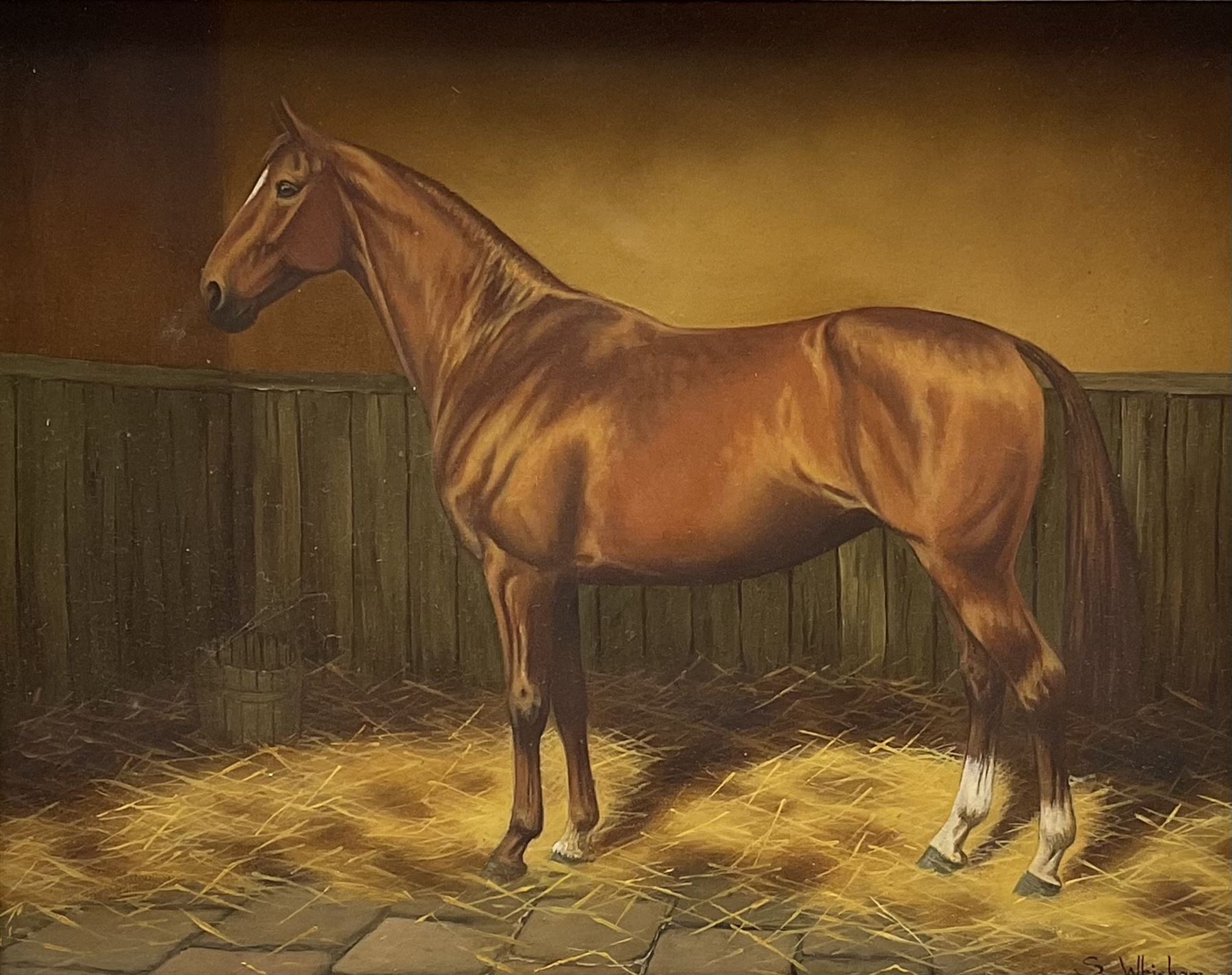 Sue Whigham (British 1957-): Bay Horse in Stable Interior, oil on canvas signed 7.5cm x 23.5cm