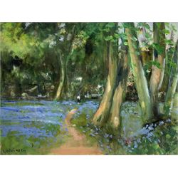Malcolm Ludvigsen (British 1946-): Bluebell Woods - 'Bishops Palace York' and 'End of Heslington Golf Course', near pair oils on canvas signed dated 2005 and 2003 verso 46cm x 61cm (2)