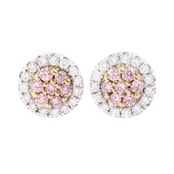 Pair of 18ct white and rose gold diamond cluster earrings, each stud set with seven round ...