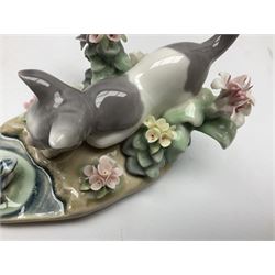 Six Lladro figures, comprising Naughty Dog no 4982, Best Friend 7620 and My Buddy no 7609, Kitty Confrontation no 1442, It Wasn't Me no 7672 and Rabbit Eating no 4772, three with original boxes, largest example H22cm