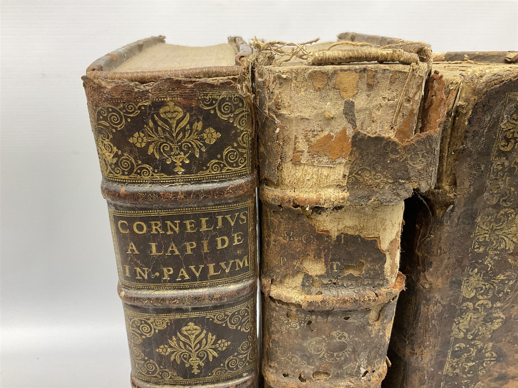 Three 17th century Lugduni (Lyon) printed books each with engraved title page in red and black comprising R.P. Corn Cornelii A Lapide .... Tomus Primus. 1690; R.P. Cornelii Cornelii A Lapide .... 1683; and Hortus Pastorum Sacrae Doctrinae Floribus Polymitus .... 1668. All folio with full calf bindings (3)
