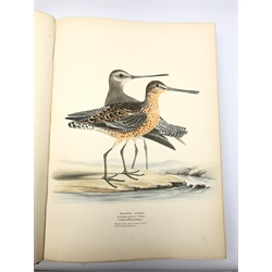  Meyer Henry Leonard:  Illustrations of British Birds. Part Two - Water Birds with one hundred and forty coloured plates with tissue guards, seventy-five with eggs and three with eggs only, gilt tooled full leather binding with gilt panelled spine and hand painted title page.  