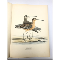  Meyer Henry Leonard:  Illustrations of British Birds. Part Two - Water Birds with one hundred and forty coloured plates with tissue guards, seventy-five with eggs and three with eggs only, gilt tooled full leather binding with gilt panelled spine and hand painted title page.  