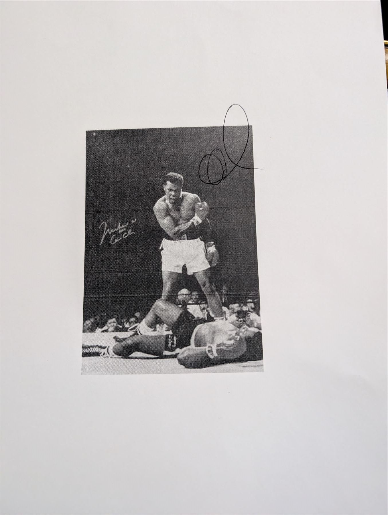 Large colour print depicting the famous scene of boxer Muhammad Ali standing over the defeated Sonny Liston, taken from their 1964 rematch, signed by Ali to the left middle in gold marker, with his double signature 'Muhammad Ali AKA Cassius Clay', with certificate of authenticity from Fraser's Autographs, framed, picture H49cm