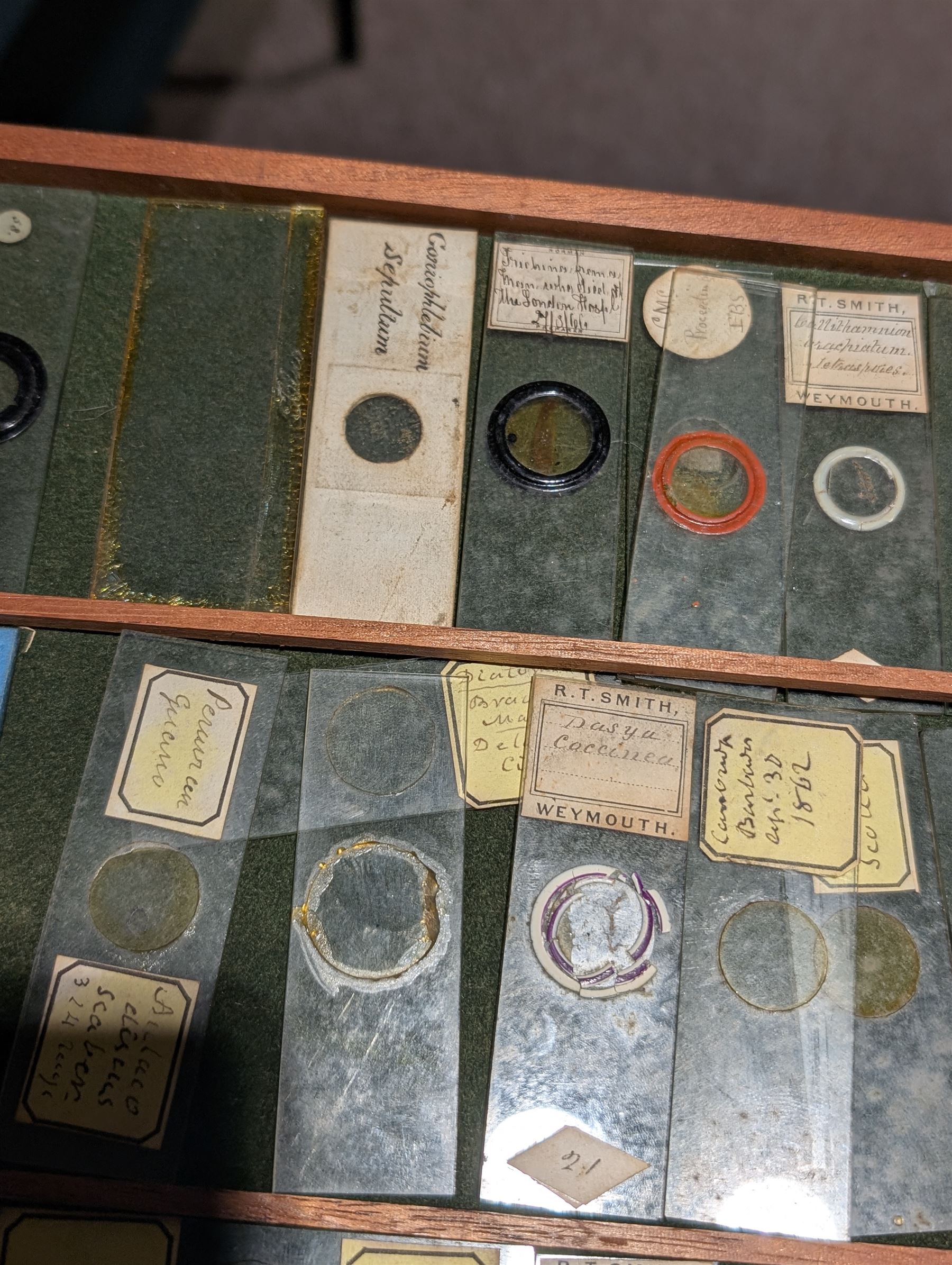 Victorian collector's specimen cabinet, containing a number of prepared microscope slides including miniature photographs, animal and human pathological, physiological and histological specimens and botanical specimens, mostly annotated in ink, the cabinet with glazed door, the drawers with bone handles and lined with green felt, owned by Dr Arthur Bristow, together with a picture of the doctor, cabinet H43cm