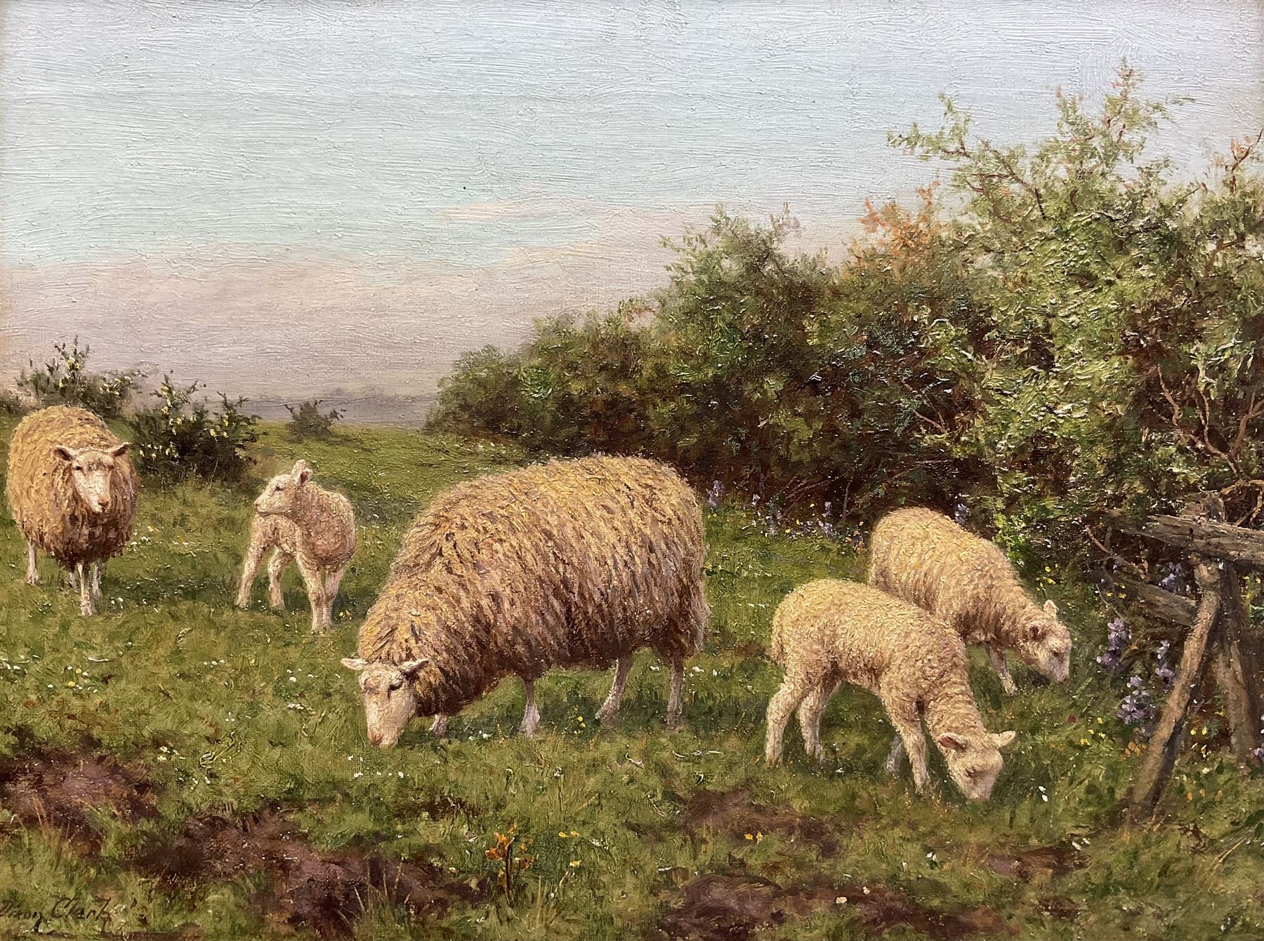 Joseph Dixon Clark (British 1849-1944): Sheep in a Meadow, oil on canvas signed 30cm x 40cm